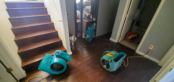 Best Carpet water damage restoration  in St Pete Beach, FL