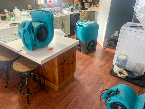Best Water damage restoration specialists  in St Pete Beach, FL