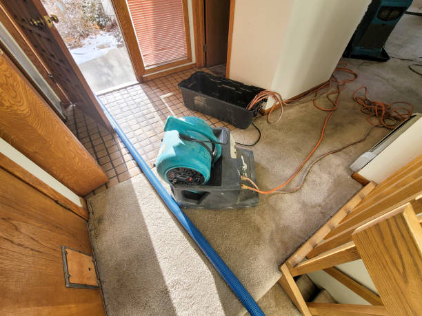 Best Flooded house restoration  in St Pete Beach, FL