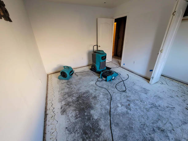 Best Sewage cleanup and water damage restoration  in St Pete Beach, FL