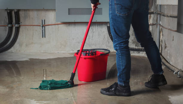 Best Sewage cleanup and water damage restoration  in St Pete Beach, FL