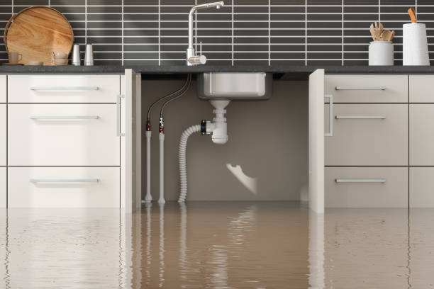 Best Flood restoration services  in St Pete Beach, FL