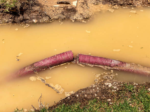 Best Flood damage cleanup  in St Pete Beach, FL