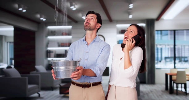 Best Emergency water damage restoration  in St Pete Beach, FL